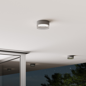 Reals Outdoor Ceiling Light