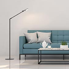 Floor Reading / Task Lamps