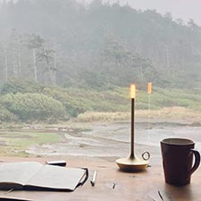 Portable Lamps