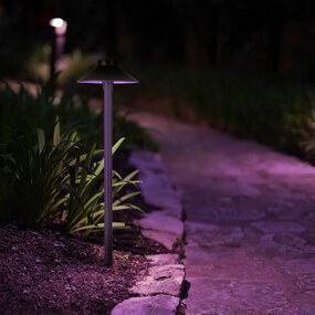 Colorscaping RGBTW Smart Tiki Path Light 15V